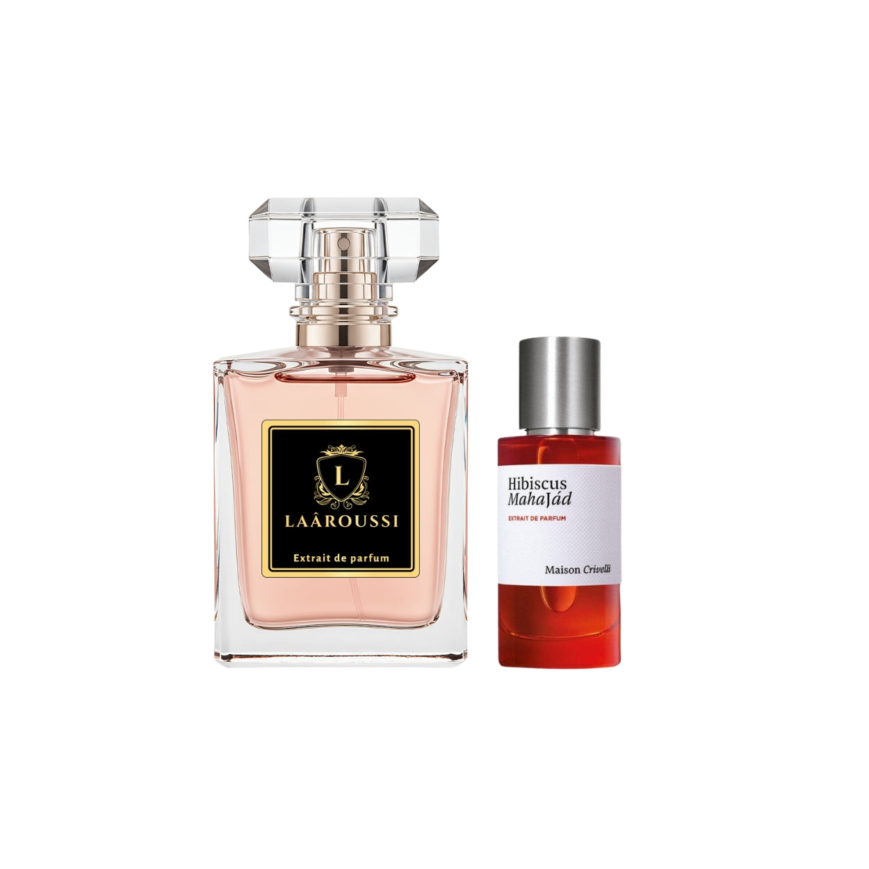 Hibiscus Mahajâd Maison Crivelli