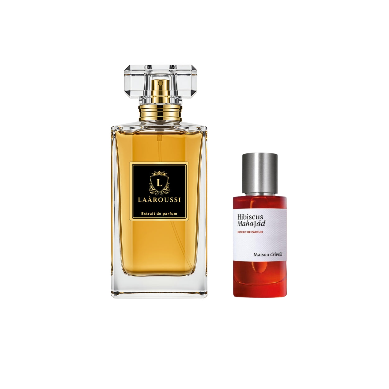 Hibiscus Mahajâd Maison Crivelli