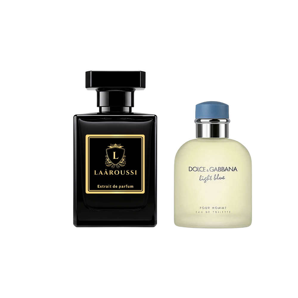 Dolce Gabbana light Blue pour Homme