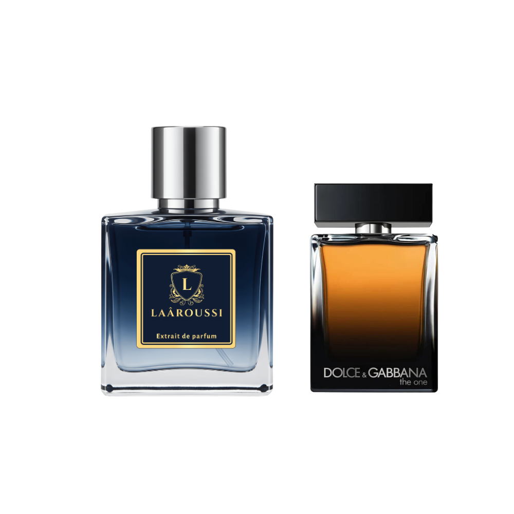 The one dolce gabbana homme