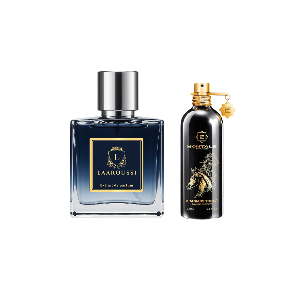 Arabians Tonka de MONTALE