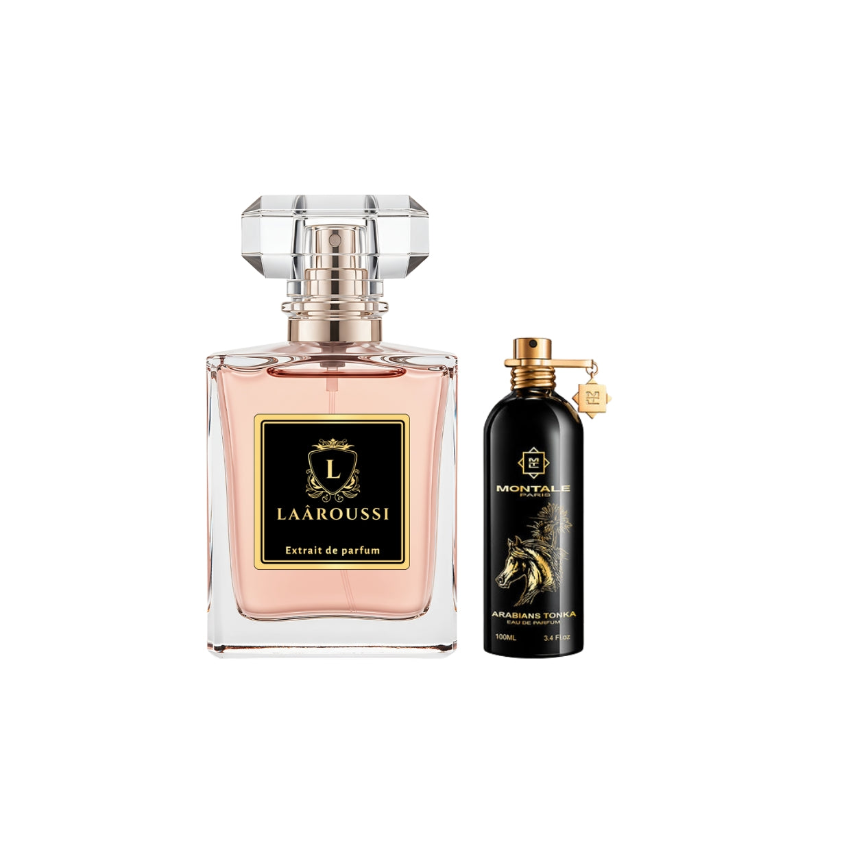 Arabians Tonka de MONTALE