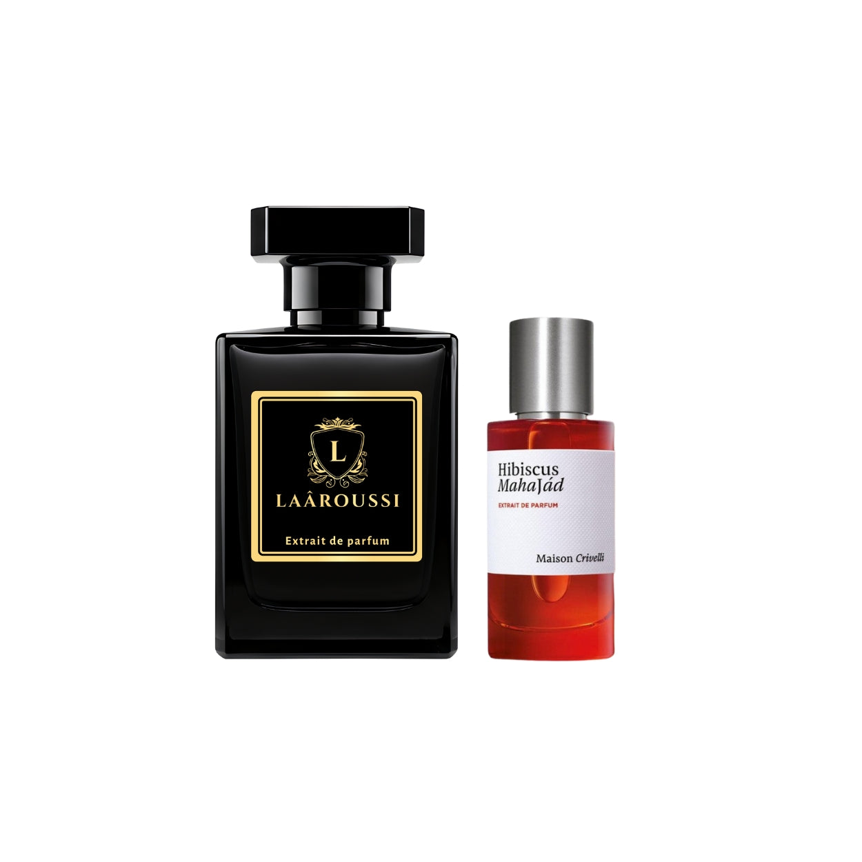 Hibiscus Mahajâd Maison Crivelli