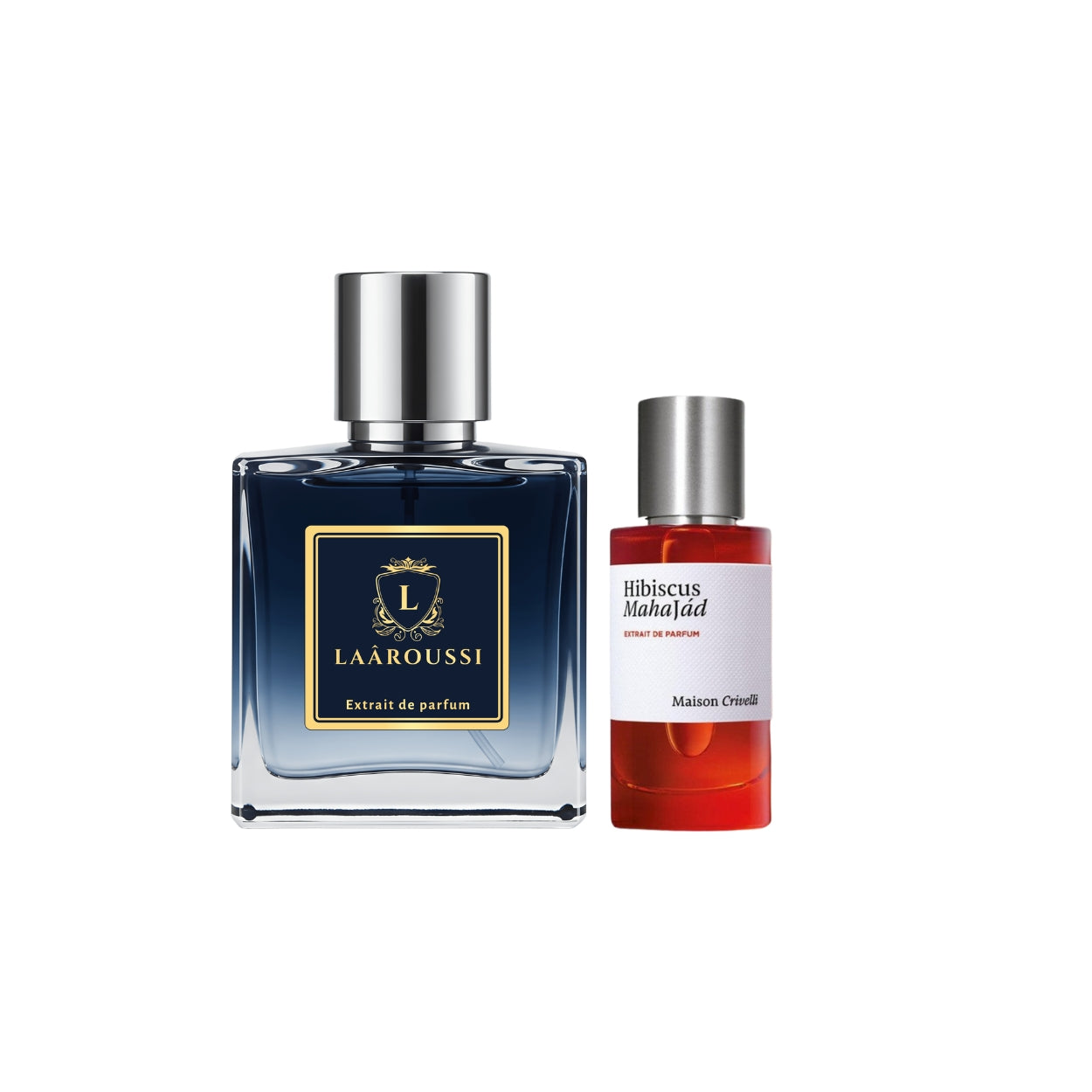 Hibiscus Mahajâd Maison Crivelli