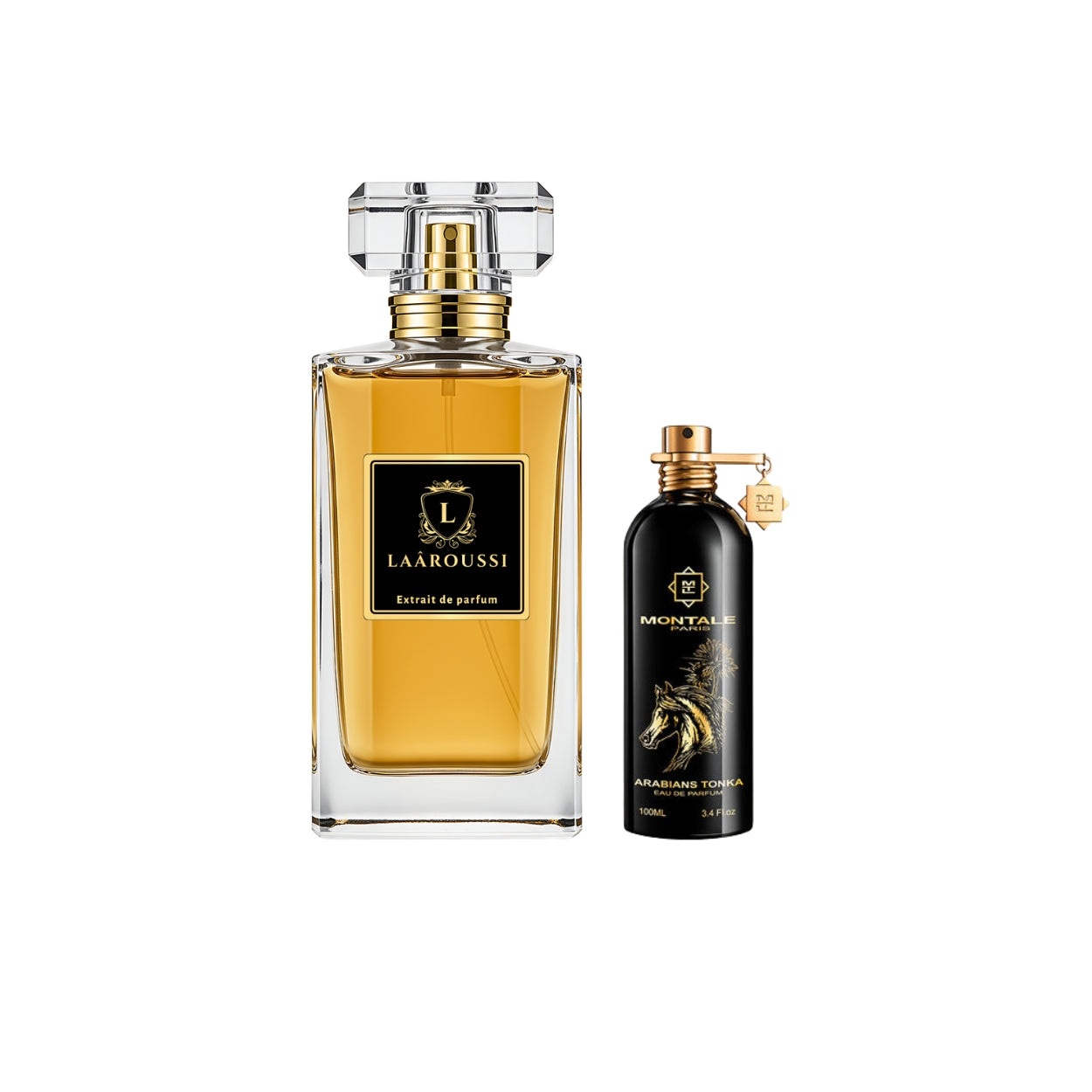 Arabians Tonka de MONTALE