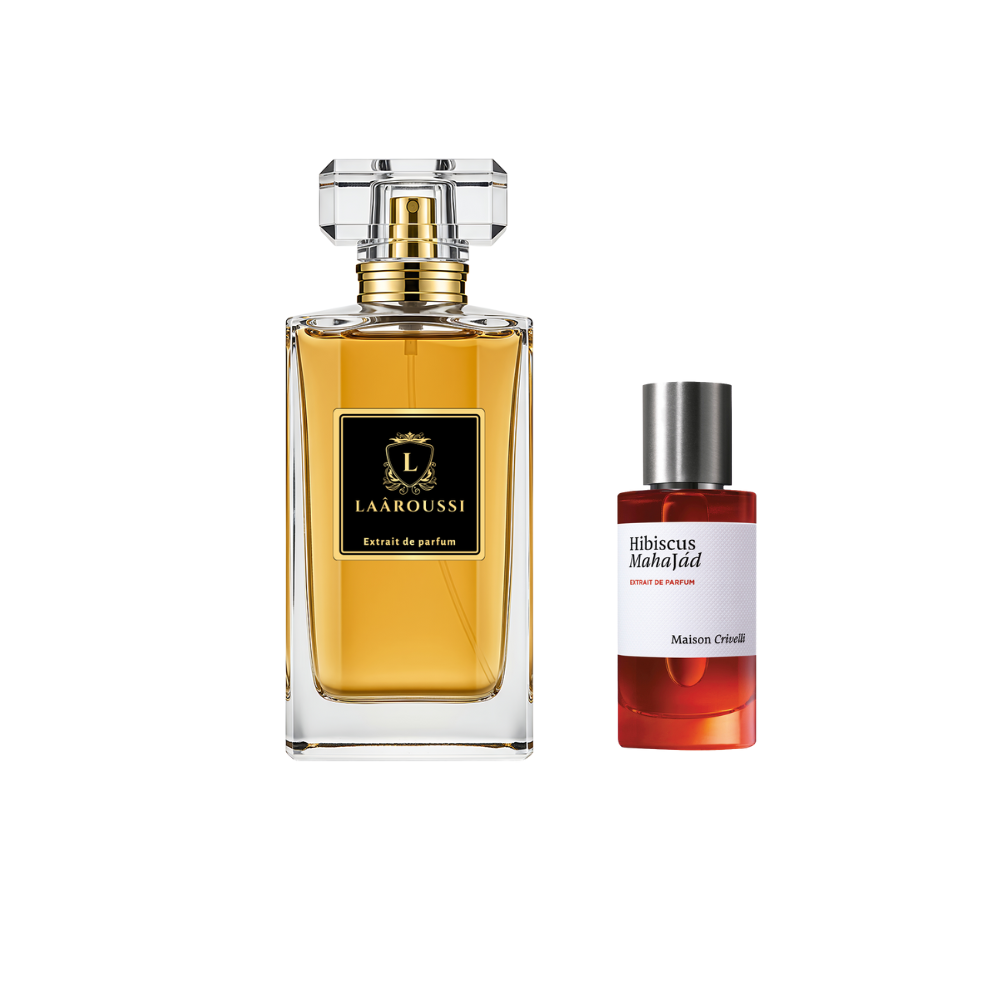 Hibiscus Mahajâd Maison Crivelli