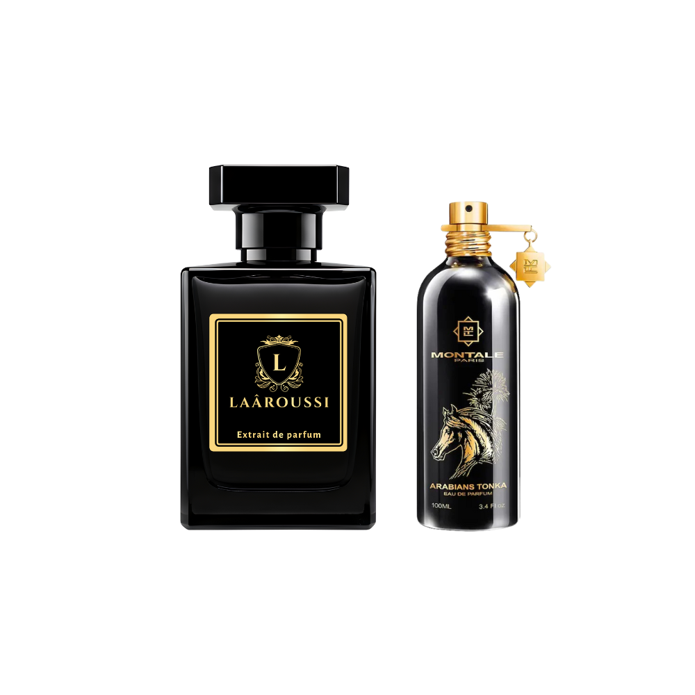 Arabians Tonka de MONTALE